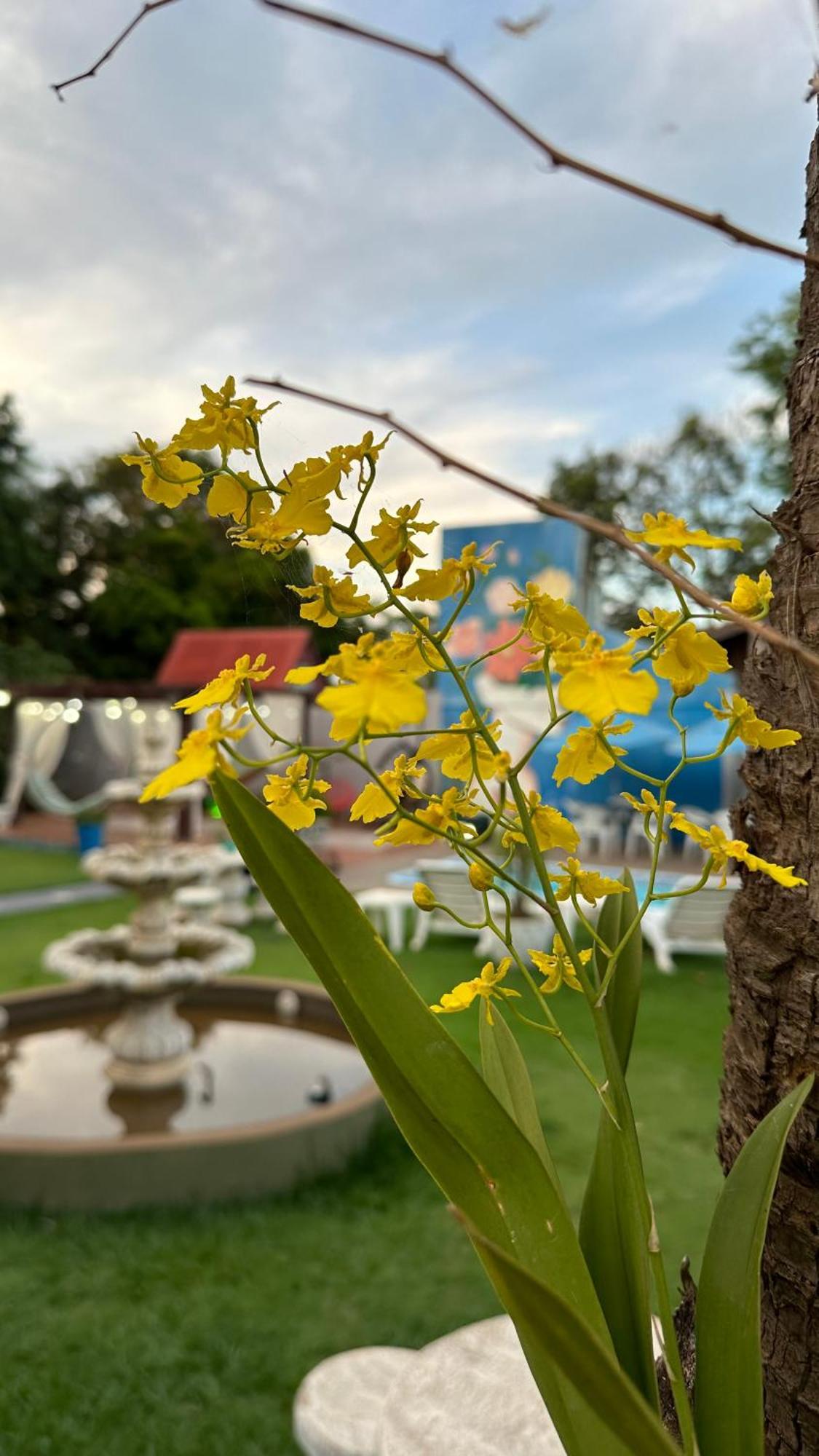 Pousada Villaggio Chapada dos Guimarães エクステリア 写真