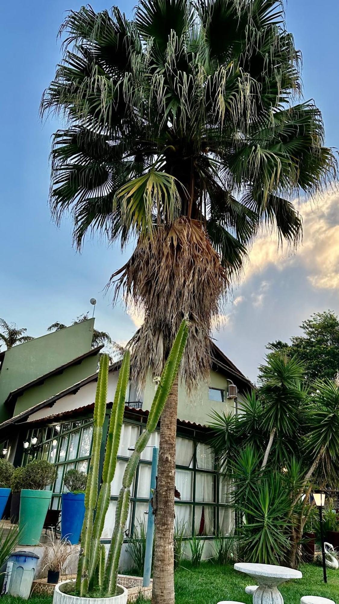 Pousada Villaggio Chapada dos Guimarães エクステリア 写真